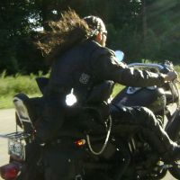lobo73